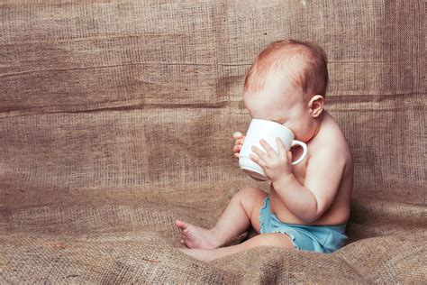 Gibt man dennoch bei krankheiten ein fläschchen mit tee, kann es zu einer saugverwirrung kommen. 59 Top Pictures Fencheltee Für Baby Ab Wann - Alnatura ...