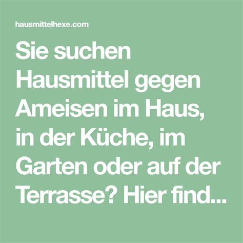 Die geruchsorgane der tiere sind empfindlich auf eine vielzahl von aromen und halten sich aus diesem grund von ihnen fern. Hausmittel gegen Ameisen in Haus und Garten ...