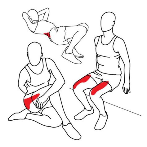 The skeletal muscle's anatomical location or its relationship to a particular bone often determines its name. exercise illustrations. illustrations showing different ...