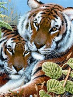 We did not find results for: Download Animated 240x320 «Tiger» Cell Phone Wallpaper. Category: Pets & Animals | Diamond ...