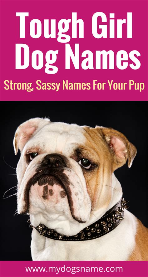 At least that's what people say, and it sure is the case with certain pets. Tough female dog names for your new pup. These names are ...