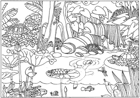 The animals are listed in alphabetical order. printable amazon rainforest coloring pages Coloring4free - Coloring4Free.com