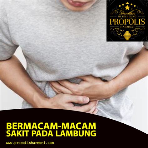 Penyebab bab berdarah orang dewasa karena ulkus lambung pun beragam. Bermacam-macam Sakit Pada Lambung | Propolis Harmoni