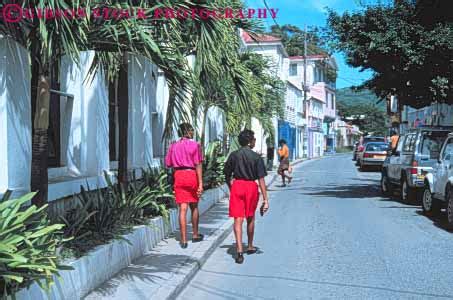 Unidentified and undescribed species will be added to this list as identifications are verified and taxonomic revisions are published. native women walking Roadtown Tortola Island Lesser ...