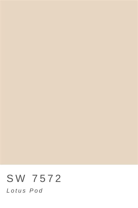 Today i'm going to give you 5 sherwin williams sea salt tips you should know before deciding if it's the right paint for your room! Lotus Pod in 2020 | Lotus pods, China dolls, Sherwin williams