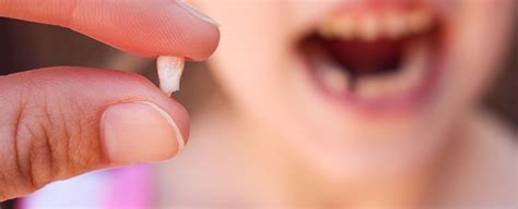 Bacteria thrive on food particles left in the mouth after eating. Your Child's First Loose Tooth - Renken Dentistry