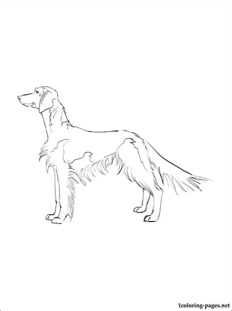 Click the cocker spaniel coloring pages to view printable version or color it online (compatible with ipad and android tablets). Cocker Spaniel Coloring Page at GetColorings.com | Free ...