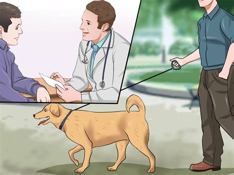 We did not find results for: How to Keep a Dog in Good Health (with Pictures) - wikiHow