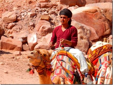 Cliff simon, los angeles, california. Day 19: Aqaba (Petra), Jordan with Holland America ...