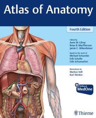 Anatomy • free medical books. Anatomy Pictures Muscles And Bones Pdf Downloads ...