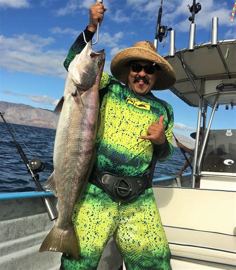 The villa is set on the south coast, yet only a short drive (3 miles) from the bohomenian charm & energy of the romantic zone & iconic. Trip Report: Bahia de Los Angeles - Part II | BDOutdoors ...