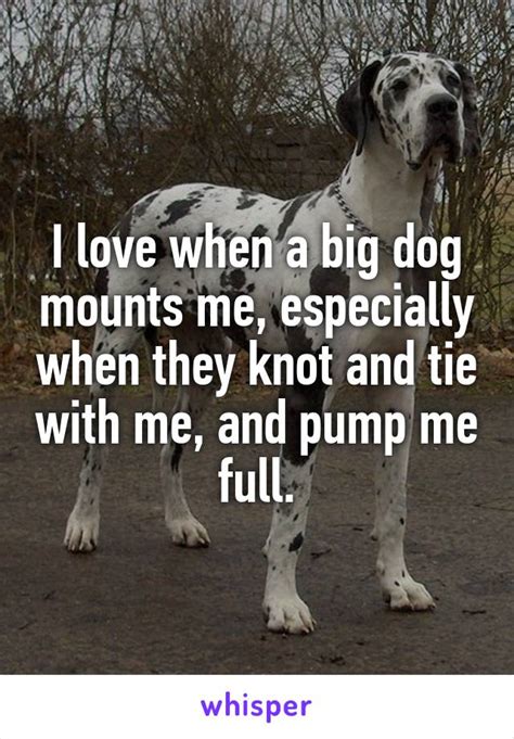 Confession is just a part of bringing humanity a bit closer to god, imperfections and all. I love when a big dog mounts me, especially when they knot ...