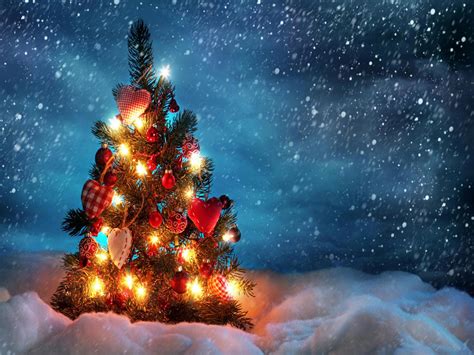 See more ideas about christmas, christmas decorations, christmas tree decorations. Email Forwards Fun!: Beautiful Winter Christmas Trees