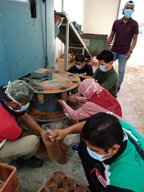 Menurutnya, proses tanaman cendawan tiram kelabu, memerlukan penggunaan habuk kayu serta ''selepas itu, beg plastik tersebut akan disuntik dengan benih cendawan dan diperam selama dua. Menurut salah seorang peserta, beliau berasa amat teruja ...