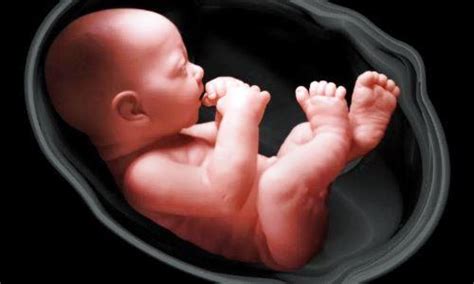 Pada usia kehamilan 32 minggu janin dalam kandungan sudah mampu mendengarkan suara suara yang ada di luar kandungan. Mengenal Gerakan Bayi di Dalam Kandungan | Medkes