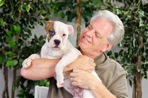 Whether you're house training, crate training, potty training, or clicker training—teaching your new dog how to 6 dog training basics. Dog Training Programs - New Hope Dog Training Center