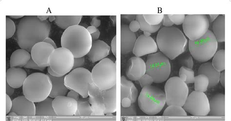 In addition, the sem output usually includes modification. SEM of native (A) and acetylated (B) cassava starches ...