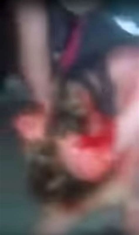 Start delayed to unknown date "We got her": Brutal fight between two women leaves one ...