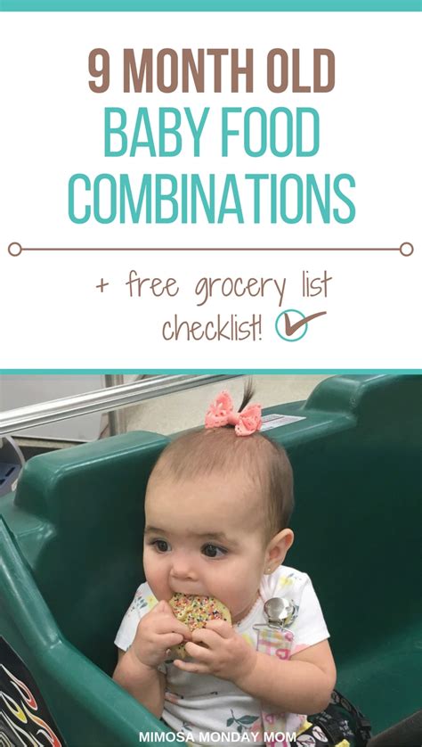 Adjust the servings based on your child's hunger, using a roughly one to one ratio of the purees in each combination. The Best 9 Month Old Baby Food Combinations! + FREE ...