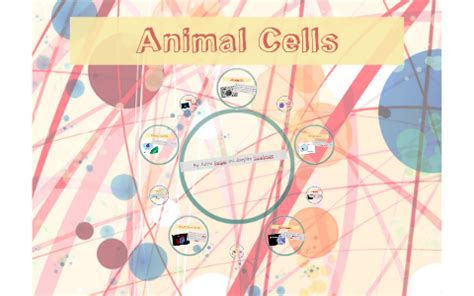 Check spelling or type a new query. Honors Biology (Animal Cells) by Josephine Schackmann