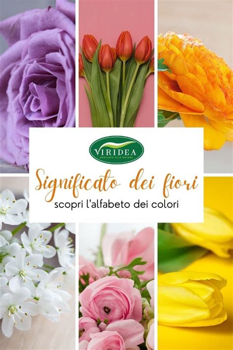 Col giallo dà il verde; Fiori A Grappoli Giallo/Verdognoli / Dipinti A Mano Fiori ...