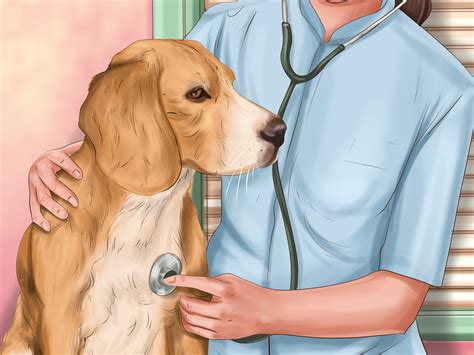 Don't take the puppy near other dogs till he/she has been vaccinated; 3 Ways to Comfort Your Dog - wikiHow