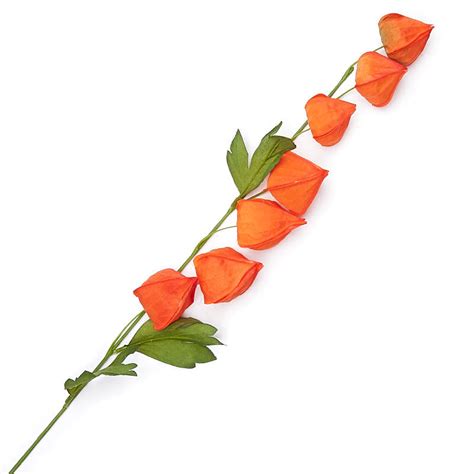 Beautiful varying sizes of lanterns (physalis). Orange Artificial Chinese Lantern Flower Stem - Floral ...