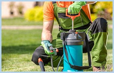 If your lawn care business services include private yard landscaping, operating heavy equipment around homes, weeding gardens and trimming trees, setting up sprinkler systems, and even winterizing homes' irrigation systems, you should consider general liability insurance. Landscaping Insurance | Lawn Care Business Insurance | The ...