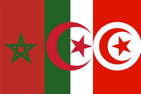 Amoure, amitié et fraternité entre le peuple algérien et tunisien Épinglé sur Alger
