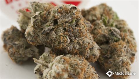 Check spelling or type a new query. Platinum Cookies | HD Gallery | Image #1