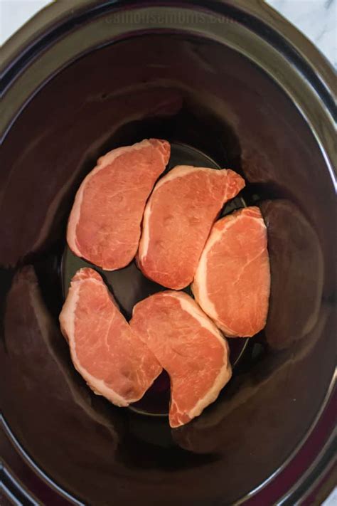 The pork comes out fork tender and the sauce has. Recipes For Thin Pork Chops In Crock Pot : Slow Cooker Bbq Pork Chops Fork Tender Little Dairy ...