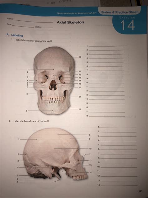 This image will be very easy to find (with the answers) if students care to look. Solved: Review &Practice Sheet Now Available In MasteringA ...