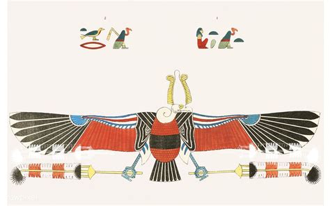 It is widely distributed from the iberian peninsula and north africa to india. Vulture, emblem of Neith illustration from Pantheon ...