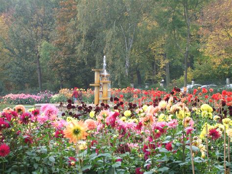 Einrichtung and park untermhäuser straße 102, gera, thüringen 07548 File:Gera Dahliengarten.JPG - Wikimedia Commons