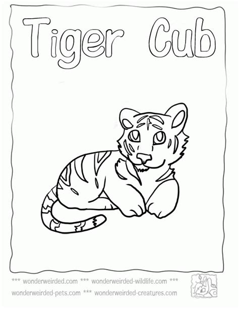 Animal, baby, coloring pages, fargelegge tegninger, kids, printable, tiger, wild animals previous post :printable coloring sheets of frogs. Cute Baby Tiger Coloring Pages - Coloring Home