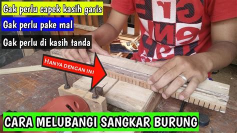 Burung prenjak termasuk burung yang mudah dalam perawatannya dan juga bisa cepat gacor walaupun dirawat dari bahan/bakalan, asalkan dirawat demikian sedikit informasi tentang cara cepat untuk membuat gacor burung prenjak bahan/bakalan yang dapat kami sampaikan pada artikel kali ini. Cara mudah melubangi sangkar burung - YouTube