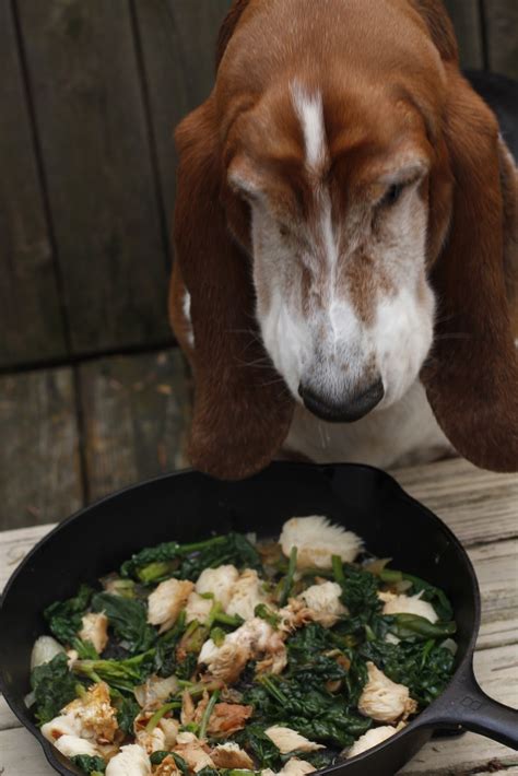 3) cut up your lion's mane if it is a big mushroom. Food Connections: Lion's Mane Mushrooms and Spinach