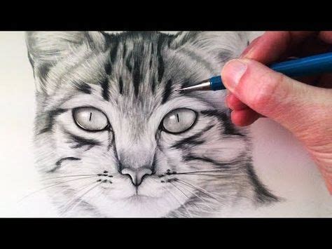 With just a few simple to follow steps well other animals too, but cats. How To Draw a Realistic Cat with Pencil Step by Step ...