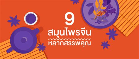 We did not find results for: สมุนไพรจีนกับสรรพคุณมากมายที่คุณอาจไม่รู้ | Jamsai