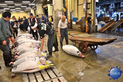 Mercato del pesce di tsukiji. Mercato del pesce di Tokyo: le informazioni per l'asta di ...