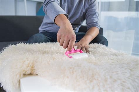 First, choose where you're going to clean your rug. How to Clean A Sheepskin Rug Using Easy Methods - Homenish