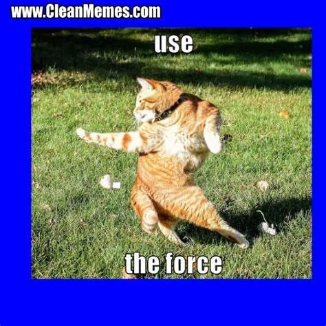 597 x 597 jpeg 82 кб. Pin by Brooklyn on Memes clean in 2020 | Cat memes clean, Funny grumpy cat memes, Best cat memes