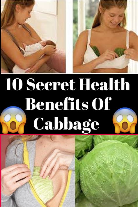 10 Secret Health Benefits Of Cabbage You Had No Clue About | Cabbage ...