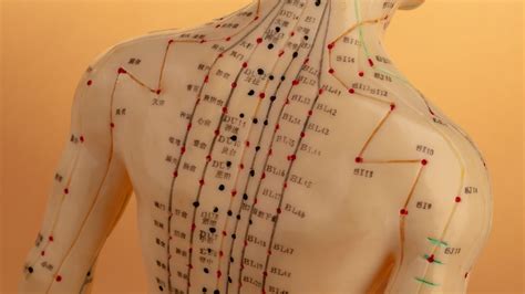 The Basics of Acupuncture Points - Merckling Family Chiropractic