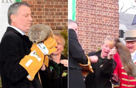 Mayor bill de blasio dropped the topic of his possibly fatal fumble of staten island chuck faster than…well, a groundhog. Bill de Blasio's Groundhog Day Fumble Led to the Death of ...