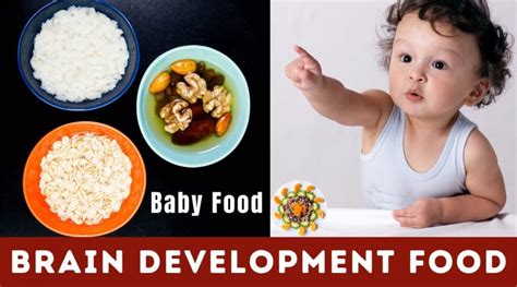 Check spelling or type a new query. Baby Food || Brain Development and Weight Gain Food for 8 ...