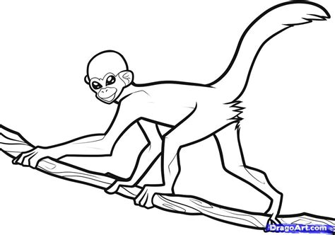 Sign up today & get started for free! Monkey Drawing Step By Step at GetDrawings | Free download