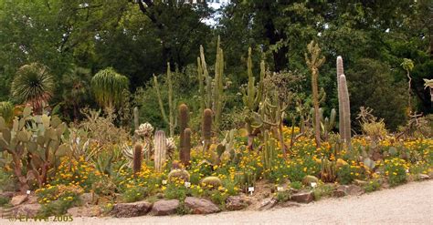 Maybe you would like to learn more about one of these? Botanischer Garten Wien