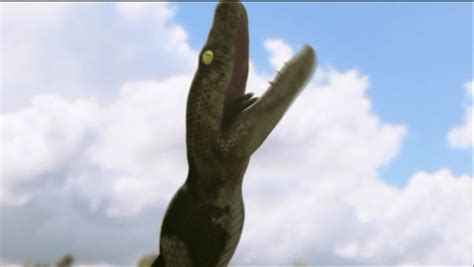 Negative and positive, each set contains 25,000 movie reviews. Rotten Reelz Reviews: SyFy Monster Movie Week: Mega Python ...