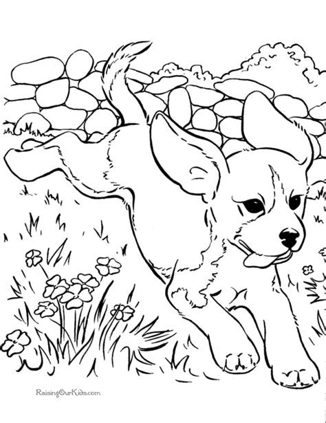 Valentine animal coloring pages | realistic coloring pages. Realistic Puppy Coloring Pages - Coloring Home